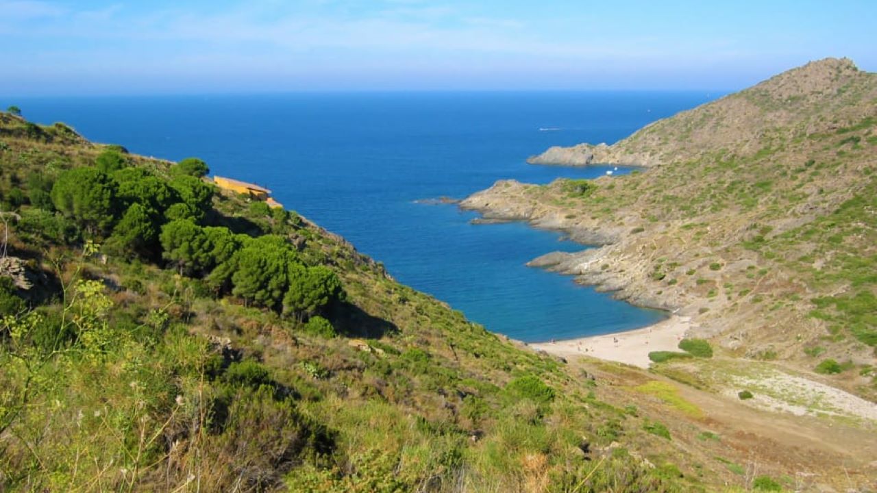 tamariua-playas-costa-brava