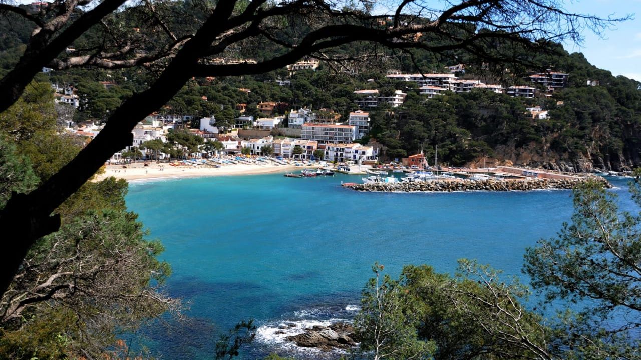 llafranc-playas-costa-brava